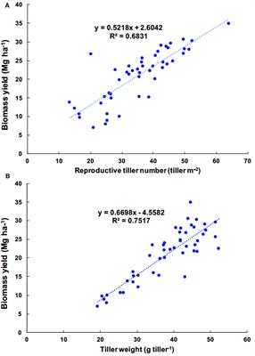 Nitrogen Fertilization Effects on Biomass Production and Yield Components of Miscanthus ×giganteus